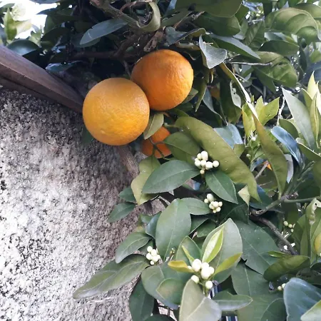 Holiday home La Taniere 16 Couchages