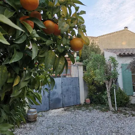 La Taniere 16 Couchages Holiday home *