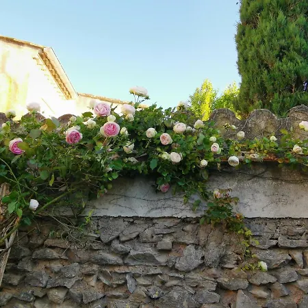 La Taniere 16 Couchages *